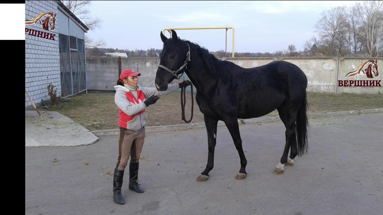 Vershnyk Čerkasy Esterno foto